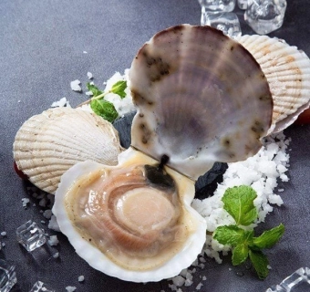 Cách sơ chế sò điệp đơn giản, nhanh chóng không bị mất thịt