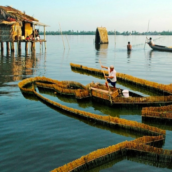 Vận Chuyển từ Đầm Dơi